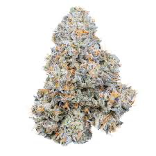 Permanent Marker Marijuana Strain