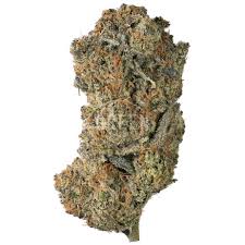 Jack’s Cleaner Weed Strain