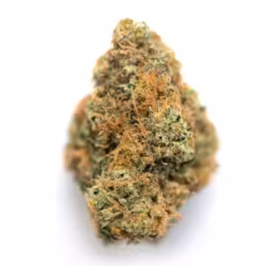 Mimosa Orange Punch