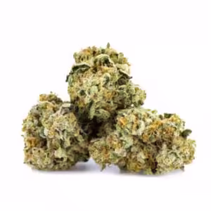 Mint Sherbet Medical Cannabis Strain