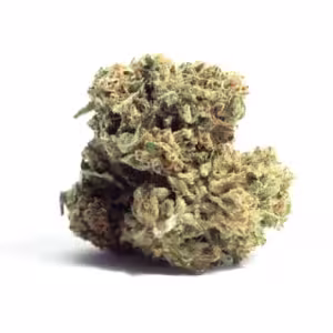 Alien Dawg Medical Cannabis Strain