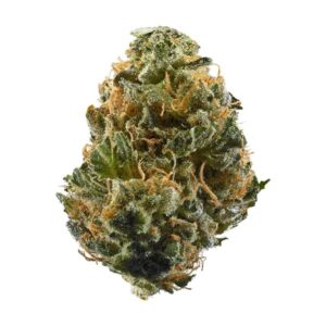 Bumble Kat Weed Strain