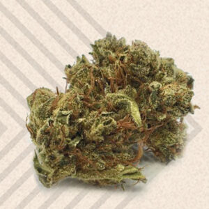 C99 Strain