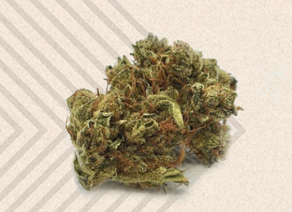 C99 Strain