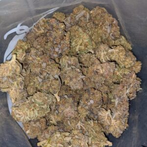 Loud Dream Strain