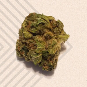 UK Cheese Strain