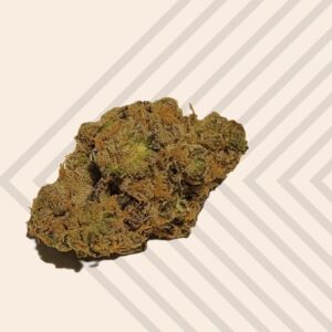 The Passe Partout Strain