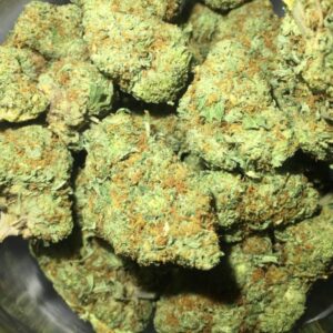 Cheese Marijuana Strain